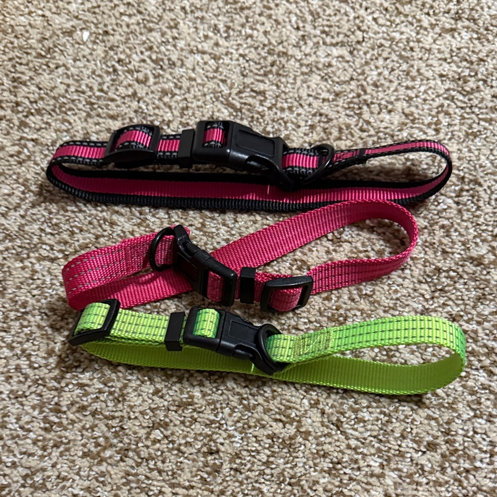 Adjustable Pink and Green Dog Collars
